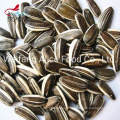 Daily Snacks Sunflower Seeds Dry Type Seeds